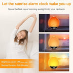 DreamSky Sunrise Alarm Clock Radio for Bedroom - Wake up Light Alarm Clock for Kids Heavy Sleepers Adults, Digital FM Radio with Bluetooth Speaker, Volume Control, Dimmable RGB Night Light, Timer