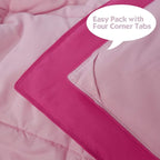 HIG 3pc Pink Twin/Twin XL Comforter Set - All Season Reversible Down Alternative Bedding Comforter - Quilted Duvet Insert with Corner Tabs - Box Stitched Blanket - Breathable, Soft, Fluffy