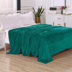Elegant Comfort Luxury Velvety Feel Blanket, All-Season Lightweight Blanket, Ultra Plush, Soft, Cozy-Fuzzy Flannel Fleece for Couch, Sofa, Bed, Travel, Solid Design, Twin/Twin XL, Teal