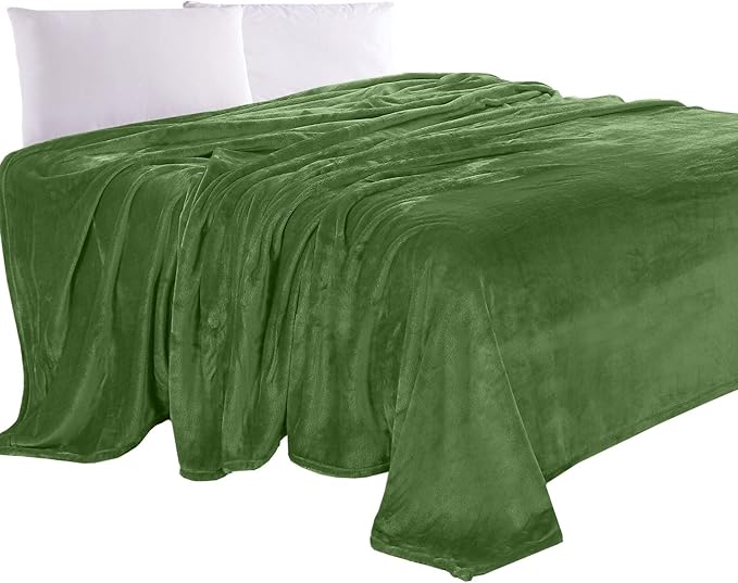 Elegant Comfort Luxury Velvety Feel Blanket, All-Season Lightweight Blanket, Ultra Plush, Soft, Cozy-Fuzzy Flannel Fleece for Couch, Sofa, Bed, Travel, Solid Design, Twin/Twin XL, Green