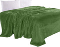 Elegant Comfort Luxury Velvety Feel Blanket, All-Season Lightweight Blanket, Ultra Plush, Soft, Cozy-Fuzzy Flannel Fleece for Couch, Sofa, Bed, Travel, Solid Design, Twin/Twin XL, Green