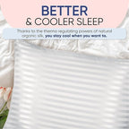 Blissy Silk Pillowcase - 100% Pure Mulberry Silk - 22 Momme 6A High-Grade Fibers - Silk Pillow Cover for Hair & Skin - Regular, Queen & King (White Striped, Standard)