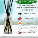 Urban Naturals Black Raspberry Vanilla Reed Diffuser Set | Made with Essential Oils & Real Botanicals | BlackBerry, Raspberry, Amber, Vanilla Orchid & Sandalwood | Made in the USA