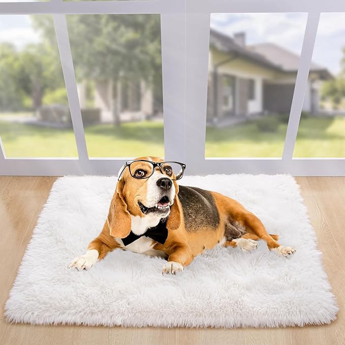 Noahas Door Mat Indoor Entrance,2x3 Shaggy Small Cream White Area Rugs for Entryway,Non-Slip Fluffy Entry Bedroom Rug,Soft Plush Bedside Throw Kids Carpet