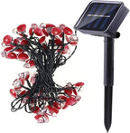 Solar Ladybug Lights, Waterproof Ladybird LED Solar Powered Decorative Fairy String Lights for Indoor Outdoor Bedroom Garden Summer Party Wedding Christmas Decoration (20FT 30Led)