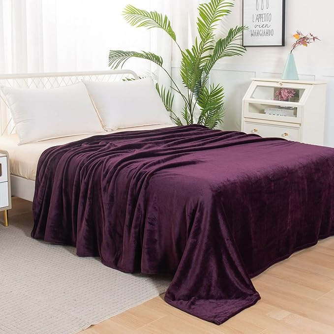 Elegant Comfort Luxury Velvety Feel Blanket, All-Season Lightweight Blanket, Ultra Plush, Soft, Cozy-Fuzzy Flannel Fleece for Couch, Sofa, Bed, Travel, Solid Design, Full/Queen, Purple