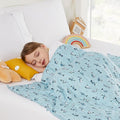 HOSUKKO Weighted Blanket - 3 lbs Blue Shark Heavy Blanket - Breathable Blanket(36 * 48 inches, 3 lbs)