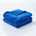 Fleece Blanket Full/Queen - 80x90 Inch Lightweight & Buttery-Soft Throw for Bed, Sofa, Camping | 300GSM Cloud-Touch Microfiber | Cozy Essentials for Travel & Movie Nights, (Blue)