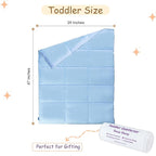 ZPECC Toddler Down Alternative Comforter, 39x47 Hypoallergenic Baby Blanket Quilt, Soft Breathable Lightweight All Season Kids Duvet Insert for Crib Stroller Cot Daycare, Baby Blue
