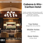 HoogaLife Car Air Freshener Hanging 2 Pack - Hotel Collection Diffuser Oil Inspired by Cabane & Rltz. CarIton Hotel - NO.1012 Fragrance Oil, Car Fresheners for Women Made in USA (081)
