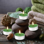 100 Pack Scented Tealight Candles 4 Hours, Spring Aromatherapy Candles for Votive Home, Wedding Holiday and Emergency (Dark Green)