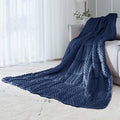 ALANSMA Reversible Weighted Blanket for All Season, Luxury Velvet, Warm and Cool, Adult 20Lb Blue Weighted Blanket, Enjoy Sleeping Anywhere(Blue,60"x80" 20lbs)