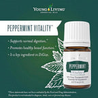 Young Living Essential Oil Blend | Refreshing & Soothing Aroma | 100% Pure Essential Oil for Home, Work, & Personal Use | Peppermint Vitality | 5 ml
