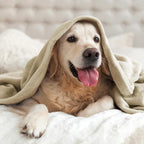 BEDELITE Fleece Blanket Linen Throw Blankets for Couch & Bed, Luxury Plush Cozy Fuzzy Blanket 50" x 60", Super Soft Warm Lightweight Throw Blanket for Travel Camping