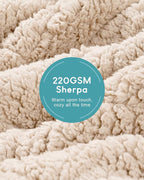 Cottonblue Jacquard Weighted Blanket 20 lbs for Adults Queen Size, Ultra Soft Sherpa Fleece Blanket for Relax and Sleep, Cozy Comfort Heavy Bed Blankets with Glass Beads, 60x80 Inches, Beige