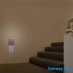 Rose Night Lights Plug into Wall Abstract Red Rose and Black Leaves Night Lights Dusk to Dawn Sensor Led Lamp for Women Men,Led Lights for Stairway/Hallway/Bedroom,0.5W