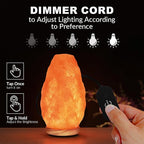 WBM LLC Himalayan Glow Natural Pink Salt Lamp, Crystal Salt Lamp Night Light with (ETL Certified) Brightness Control Dimmer Switch, Wooden Base & Salt Lamps Bulb | 6-8 LBS, Model Number: 1001