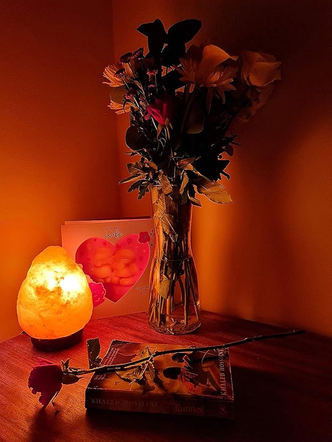 Himalayan Salt Lamp with Dimmer Switch - Natural Crystal Rock Night Light for Home Decor - Hand Carved Salt Lamp with Wooden Base - Soothing Amber Glow Night Light & Gifts