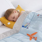HOSUKKO Weighted Blanket - 5 lbs Cooling Blue Airplane Heavy Blanket - Small Size Breathable Blanket for Hot Sleepers(36 * 48 inches, 5 lbs)