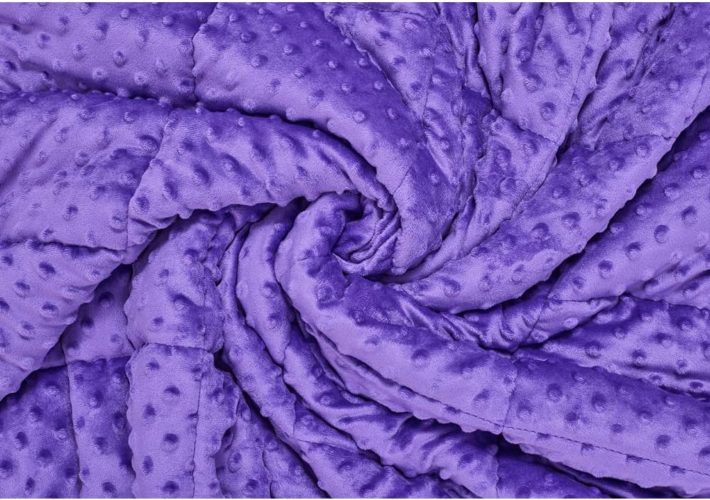 TONGDADA Minky Weighted Blanket | 40''x60'',10lbs | Cozy and Soft Minky Weighted Throw Blanket | Luxury Velvet with Premium Glass Beads | Violet Minky
