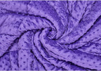 TONGDADA Minky Weighted Blanket | 40''x60'',10lbs | Cozy and Soft Minky Weighted Throw Blanket | Luxury Velvet with Premium Glass Beads | Violet Minky
