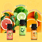 ARVIDSSON Citrus Essential Oils Set, Natural Fruit Essential Oil for Diffuser, Candle Making - Grapefruit, Bergamot, Sweet Orange, Lemon, Lime, Tangerine, Citrusy Scented Oils for Home
