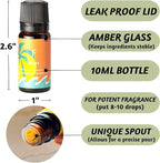 Folkulture Essential Oils Set for Diffuser | Set of 6 Everyday Aromatherapy Oils | Palo Santo, Lavender, Sandalwood, Citrus & Balanced Blend Oils | AM to PM Home Fragrance Oils & Wellness Gift Set
