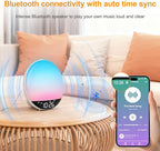 DreamSky Sunrise Alarm Clock Radio for Bedroom - Wake up Light Alarm Clock for Kids Heavy Sleepers Adults, Digital FM Radio with Bluetooth Speaker, Volume Control, Dimmable RGB Night Light, Timer