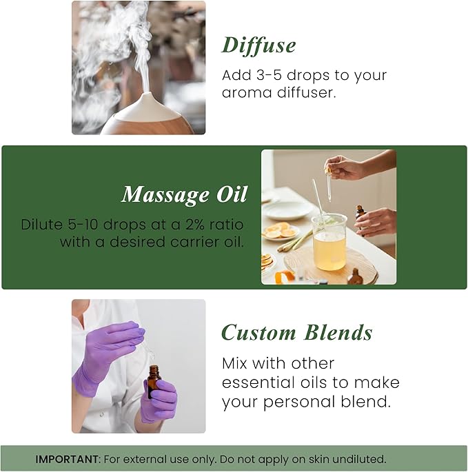 Handcraft Blends Cypress Essential Oil – 1 Fl Oz – 100% Pure and Natural – Premium Grade Essential Oil for Diffuser and Aromatherapy, Skin, Massage, Candle and Soap Making Fragrance