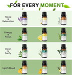Essential Oils for Diffusers for Home - 12x10ml, for Candle Making, Natural Scented Oils for Diffuser, Humidifier, Spa & Gifts with Wood Box - Lavender, Peppermint, Sweet Orange, Tea Tree &More
