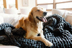 Nuzzie Original Knit Weighted Blanket - Breathable, Cooling, Hand Made Knit Throw Blanket for Sleep - Machine Washable, Stylish Decor Design (Forest Green, Queen | 22lbs | 60"x80")