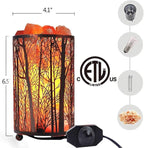 Shineled Salt Lamps, Natural Himalayan Salt Lamp, Forest Salt Lamp with Dimmer Switch, Salt Crystal Night Lights, Retro Metal Basket Decor Desk Lamp with Extra 25W Lamp Bulbs (Retro Red)