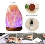 MINGRI Himalayan Salt Lamp Night Light Rock 16 Colors Changing Updated,USB Remote Control Natural Rock Lamp Dimmable Crystal Pink Salt Table Lamps for Office,Home Deco,Yoga,Holiday Gift