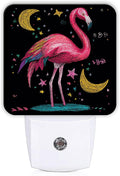 Tropical Bird Night Lights Plug Into Wall, Fanciful Playful Moon Stars Summer Peach Plug in Night Light with Dusk to Dawn Sensor for Living Room Family Room Bedroom Decor 1pcs