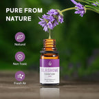 Essential Oils for Diffusers for Home - 12x10ml, for Candle Making, Natural Scented Oils for Diffuser, Humidifier, Spa & Gifts with Wood Box - Lavender, Peppermint, Sweet Orange, Tea Tree &More