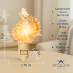 Nautical Crush Trading Seashell Night Light – Beach Night Light with Pink Murex – Shell Light for Bathroom – Sea Shell Lamp – Seashell Lamp Plug Into Wall
