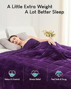 Cottonblue Weighted Blanket 15 lbs for Adults, Flannel Shaggy Sherpa Weighted Blanket for Queen Bed Comfort Weighted Blankets for Calming and Relax, Bed Sofa Heavy Blankets, 48x72 inches, Purple