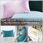 ZIMASILK 100% Pure Mulberry Silk Pillowcase for Hair and Skin Health,Soft and Smooth,Both Sides Premium Grade 6A Silk,600 Thread Count,with Hidden Zipper,1pc (Queen 20''x30'',Turquoise)