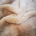 Ghouse Ultra Soft Faux Rabbit Fur Rug 5x8, Machine Washable Area Rugs for Bedroom Fluffy Rugs for Living Room, No-Shedding Carpet Sheepskin Rug Light Brown Beige