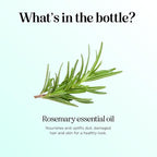 Pure Rosemary Essential Oil with Dropper - Undiluted Rosemary Oil for Hair Skin and Nails and Refreshing Aromatherapy Oil for Diffusers - Rosemary Essential Oil for Cleansing Dry Scalp Care 4oz