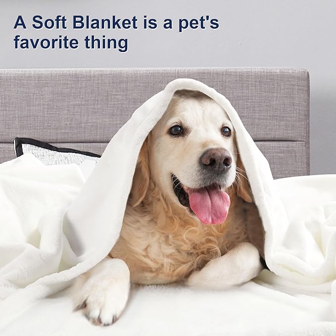 DREAMNINE Extra Large Solid Soft Comfy Fluffy Fleece Bed Blanket Full Size 80" x 90", Luxury Decorative Fuzzy Blanket for Bedroom, Big Cozy Shaggy Warm Flannel Blankets for Winter Autumn Pet, White