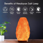 Natural Himalayan Pink Salt Lamp, Crystal Salt Lamp Night Light with Real Wood Base, (ELT Certified) Dimmer Switch – Perfect Holiday Gift | 7-11 LBS