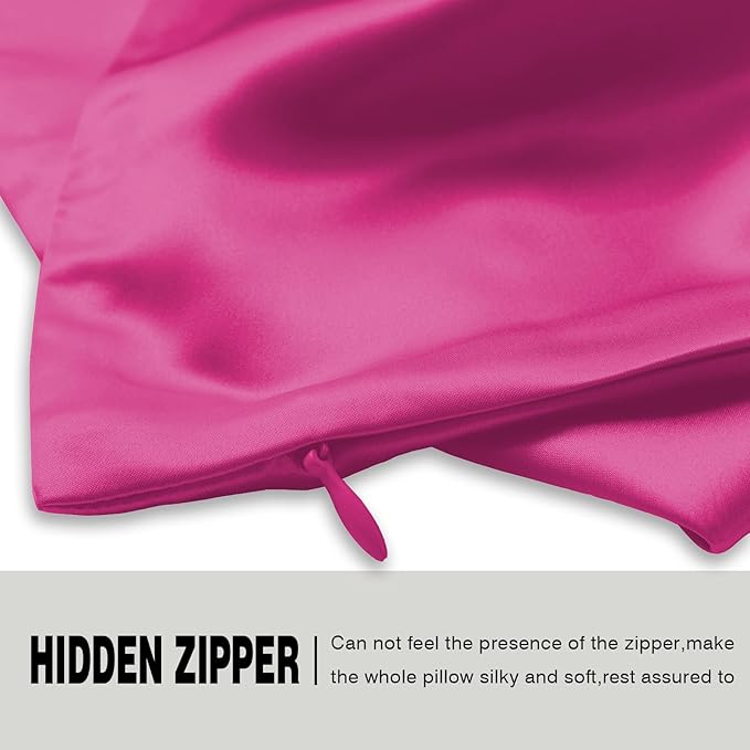 Silk Pillow Cases 2 Pack,Soft Breathable and Sliky Queen Size Pillow Cases Set of 2,Natural Mulberry Silk Pillowcase Set of 2 for Hair and Skin with Hidden Zipper (Hot Pink,20"X 30",2pcs)