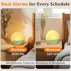 Thybro Light Sunrise Alarm Clock: 10-60 Mins Gradual Sunrise & Natural Sounds Gentle Wake up for Heavy Sleepers - 3-Step Easy Setup with Dual Alarms - 30 Sleep Sounds White Noise Machine