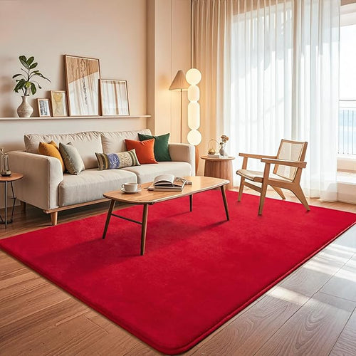 Andecor Soft Area Rug, 4x6 Red Washable Rugs for Living Room Bedroom, Indoor Fluffy Carpets for Dorm Boys Girls Kids Room Nursery Home Decorations