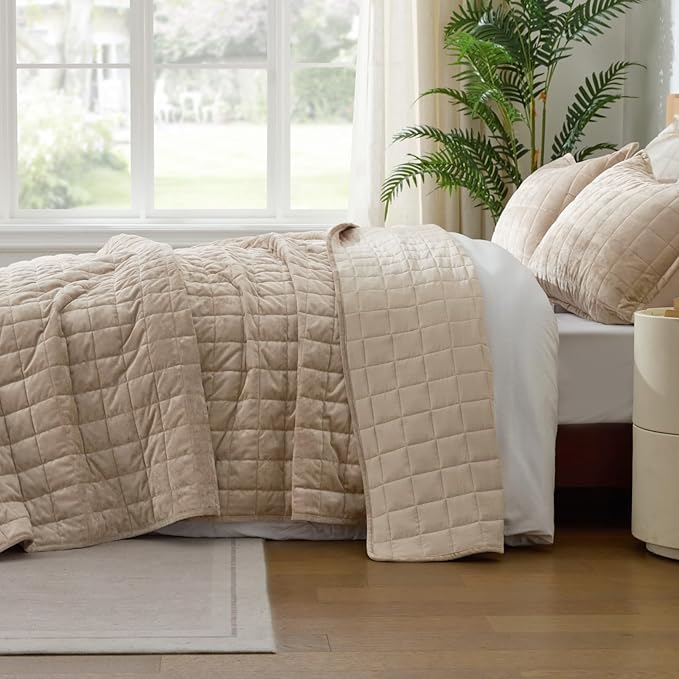 BEDELITE Velvet Quilt Set Queen Size - Luxury Velvet Comforter Bedding Set 3 Pieces, Lightweight Soft Cozy Taupe Oversized Bedspread Coverlet for All Seasons with 2 Pillow Shams
