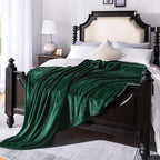 JIAHANNHA Flannel Fleece Blanket Throw Size(60 by 80 Inches),Green Throw Blanket for Couch Sofa Bed 280GSM,Super Soft Plush Cozy and Lightweight Warm Bed Blanket for All Season