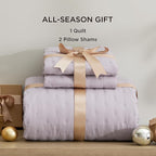 Bedsure Quilts Queen Size - Purple Bedspread Queen Size & Lightweight Comforter, Modern Farmhouse Coverlet with Clover Pattern, Ultra Soft All-Season Bedding, 90 x 96 Inches | Stitch-Free Quilting, Ultra Soft, Lightweight, Machine Washable, Pet-Friendly