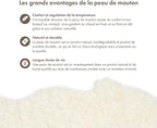 Nordic Sheep Real Sheepskin Rug Short Hair 2x3 ft | Bedside Rugs for bedrooms, Sofa, Chair or Dining Table | Each Sheepskin is Unique and Created by Nature | Small Fluffy Rug in White
