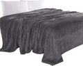 Elegant Comfort Luxury Velvety Feel Blanket, All-Season Lightweight Blanket, Ultra Plush, Soft, Cozy-Fuzzy Flannel Fleece for Couch, Sofa, Bed, Travel, Solid Design, Twin/Twin XL, Grey